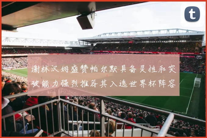 谢林汉姆盛赞帕尔默具备灵性和突破能力强烈推荐其入选世界杯阵容