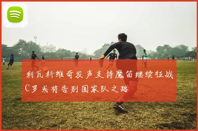 利瓦科维奇发声支持魔笛继续征战C罗或将告别国家队之路